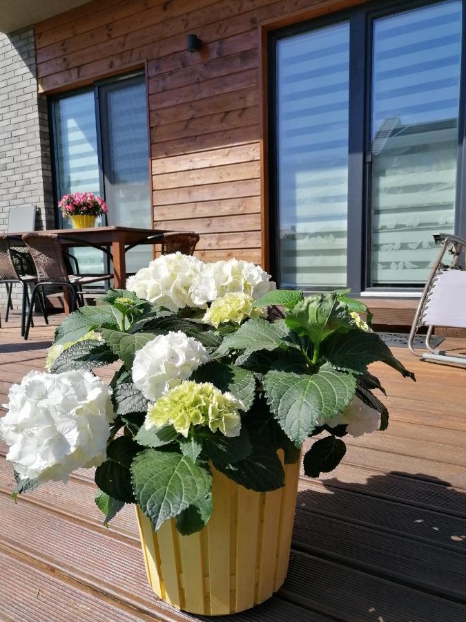 Geltoni Apartamentai Palanga Dış mekan fotoğraf
