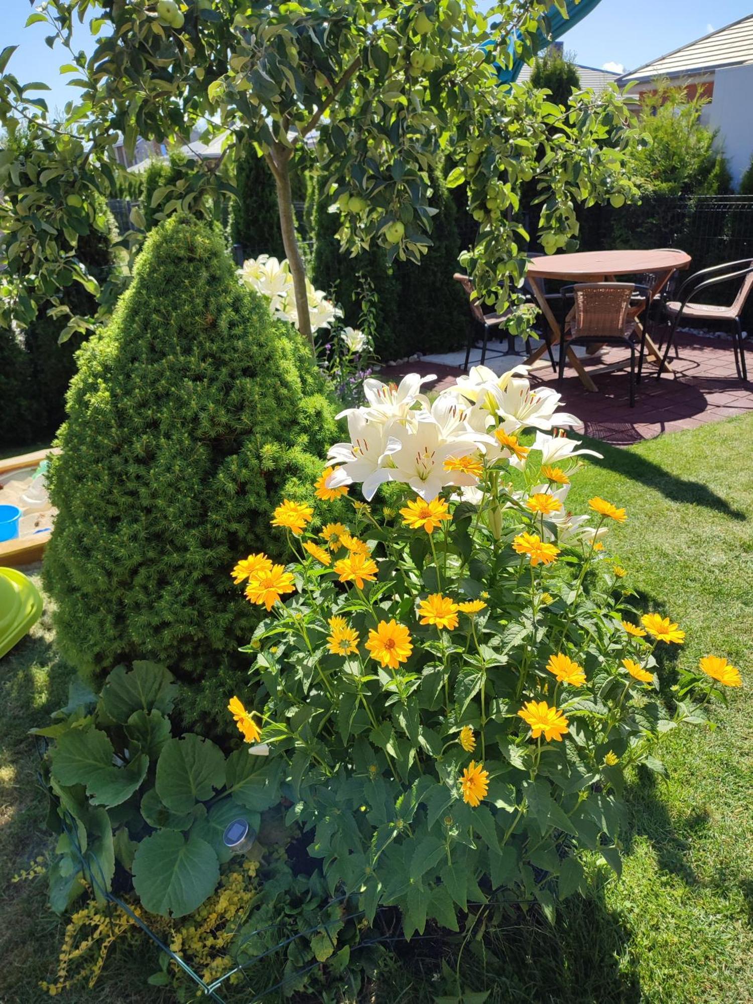 Geltoni Apartamentai Palanga Dış mekan fotoğraf