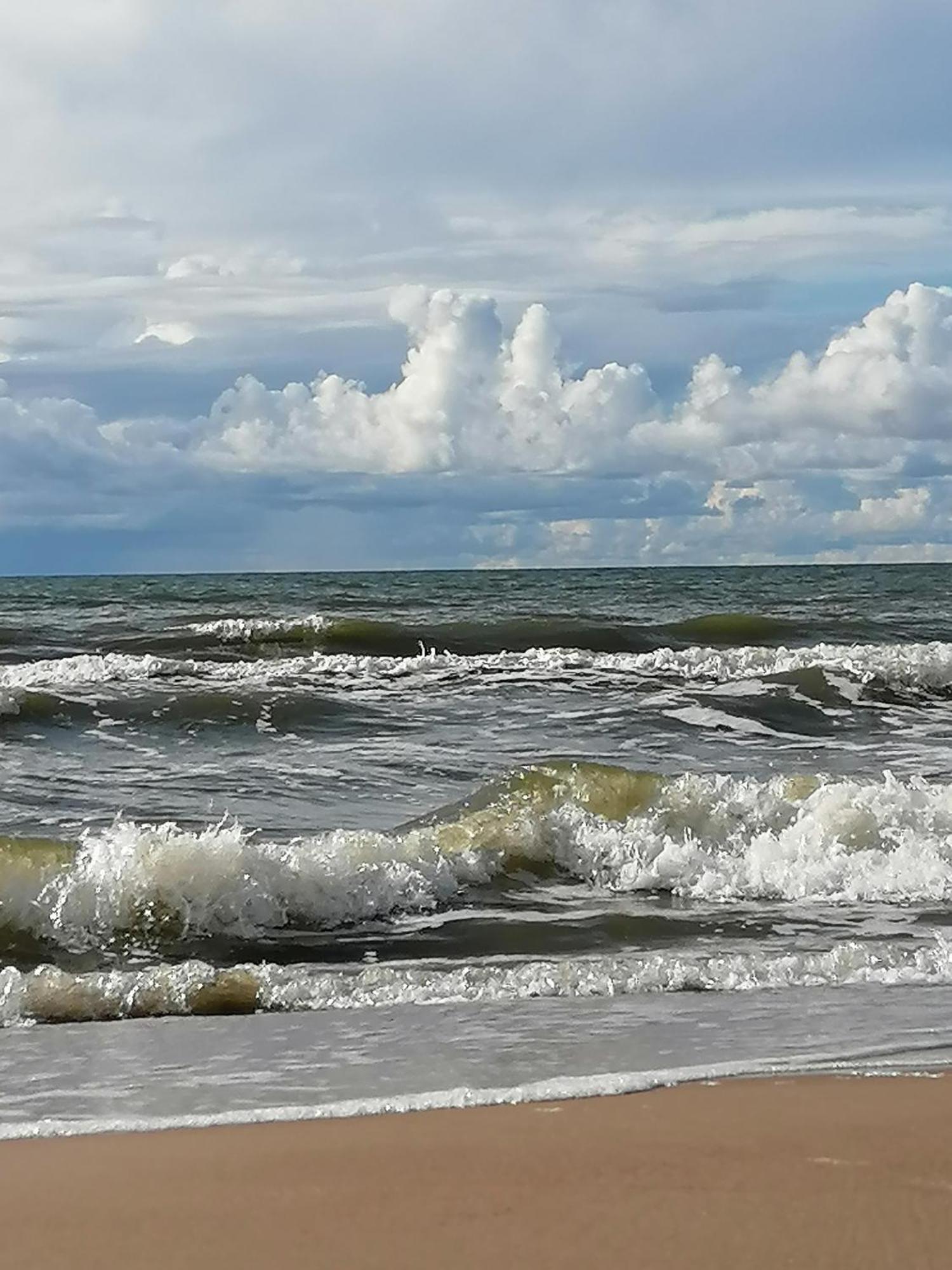 Geltoni Apartamentai Palanga Dış mekan fotoğraf