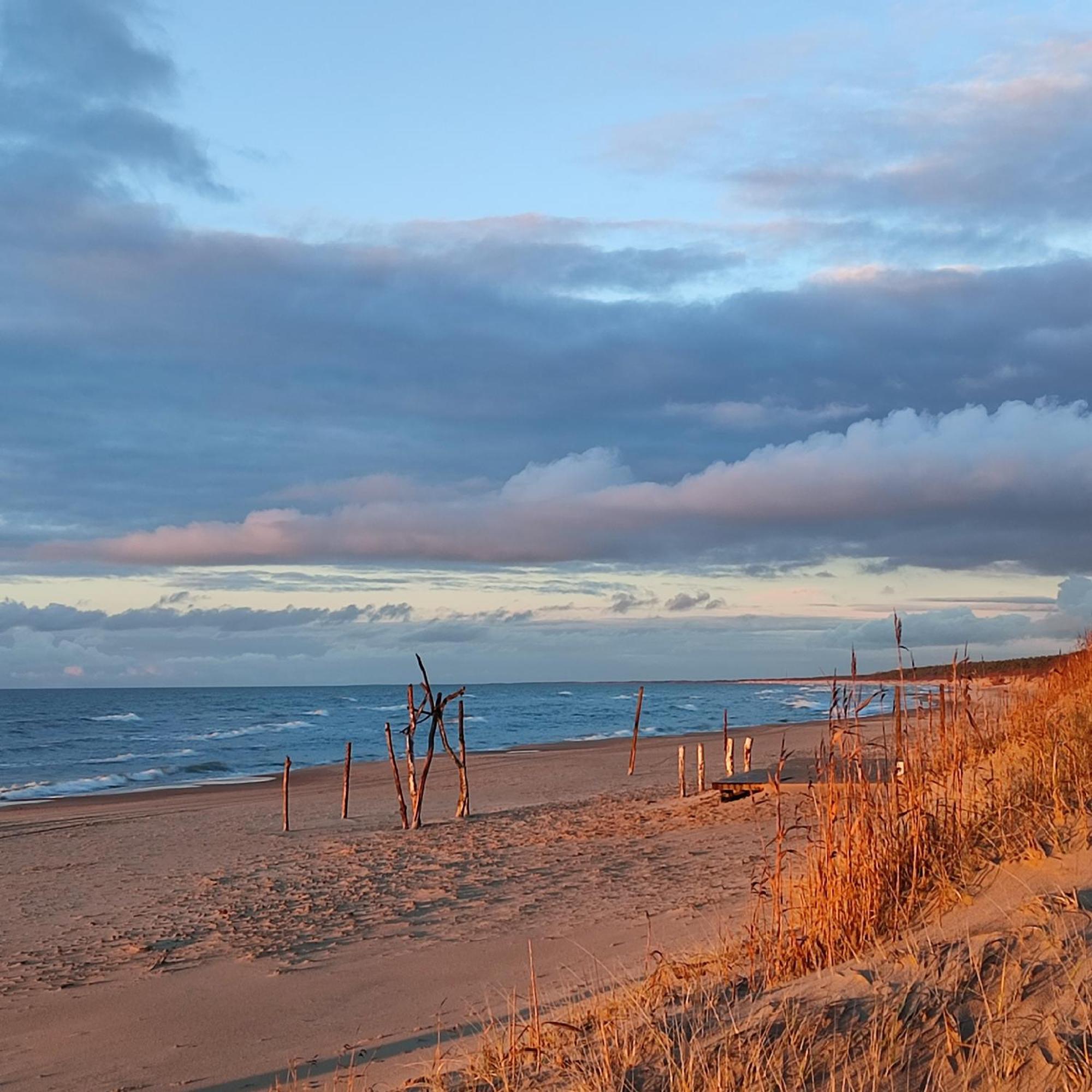 Geltoni Apartamentai Palanga Dış mekan fotoğraf