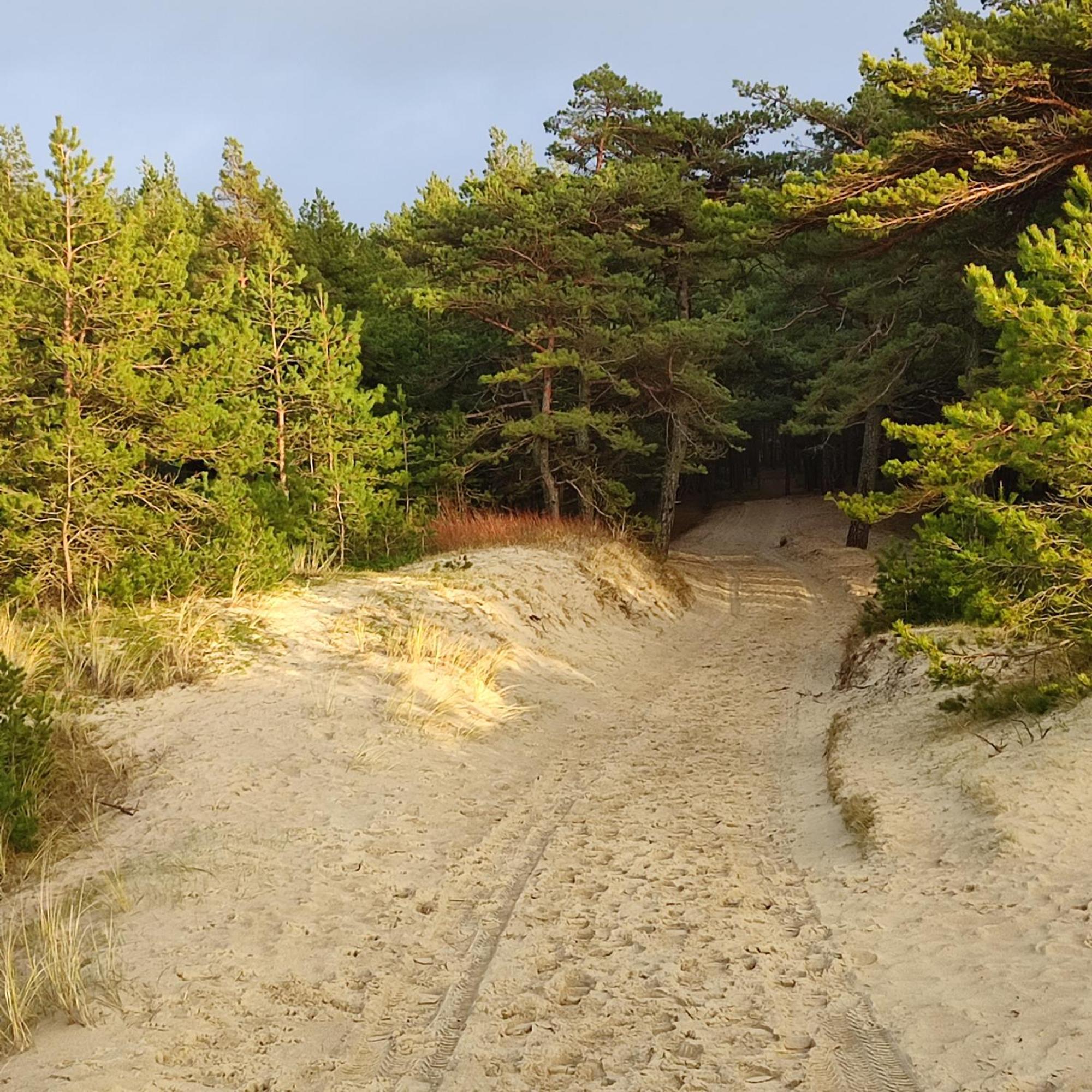 Geltoni Apartamentai Palanga Dış mekan fotoğraf