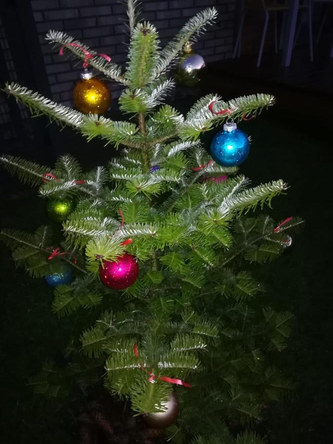 Geltoni Apartamentai Palanga Dış mekan fotoğraf
